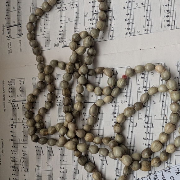 Vintage Beaded Seed Necklace - Picture 7 of 7